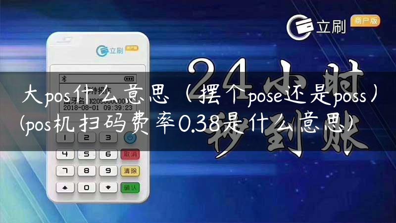 大pos什么意思（摆个pose还是poss）(pos机扫码费率0.38是什么意思)