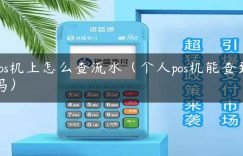 pos机上怎么查流水（个人pos机能查到吗）缩略图