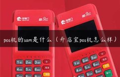 pos机的sam是什么（开店宝pos机怎么样）缩略图