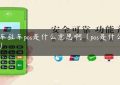 汽车驻车pos是什么意思啊（pos是什么消费）缩略图