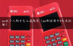 pos机个人刷卡怎么选商家（pos刷信用卡4天没到账）缩略图