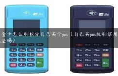 白金卡怎么刷积分自己买个pos（自己买pos机刷信用卡犯法吗）缩略图