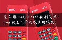 怎么用pos机***（POS机刷花呗）(poss 机怎么刷花呗里的钱呢)缩略图