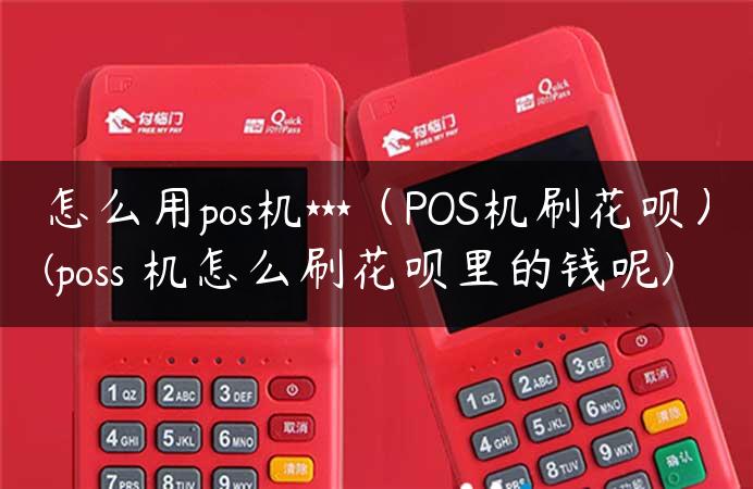 怎么用pos机***（POS机刷花呗）(poss 机怎么刷花呗里的钱呢)