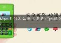 移动pos支付怎么用（星驿付pos机怎么样）缩略图