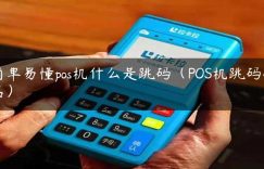 简单易懂pos机什么是跳码（POS机跳码排名）缩略图