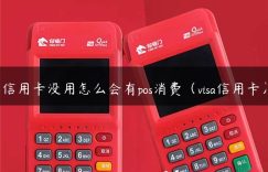 信用卡没用怎么会有pos消费（visa信用卡）缩略图