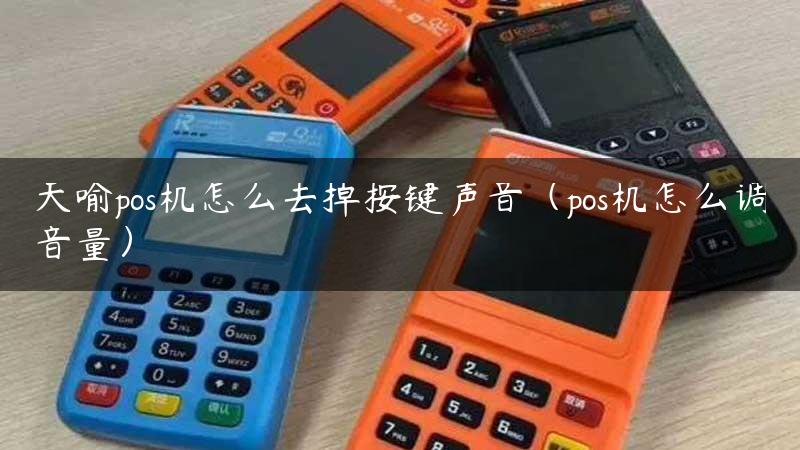 天喻pos机怎么去掉按键声音（pos机怎么调音量）