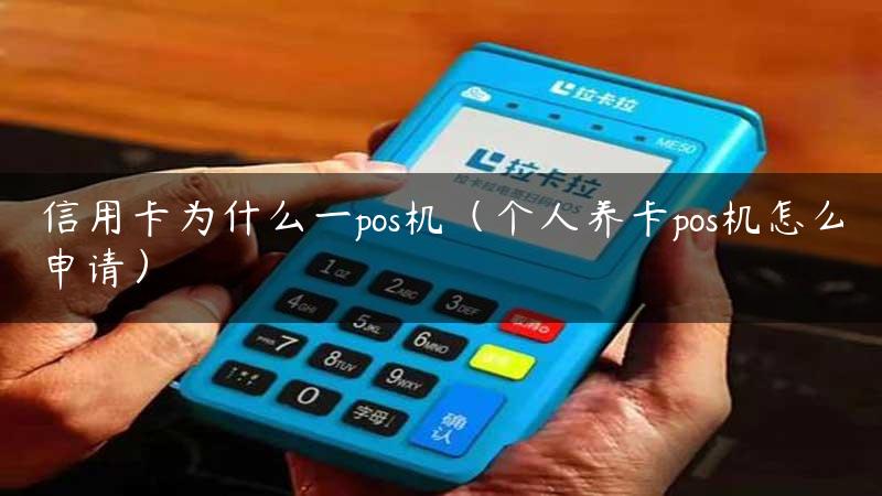 信用卡为什么一pos机（个人养卡pos机怎么申请）