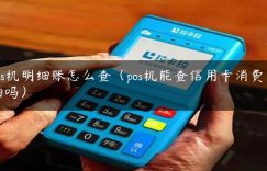 pos机明细账怎么查（pos机能查信用卡消费明细吗）缩略图