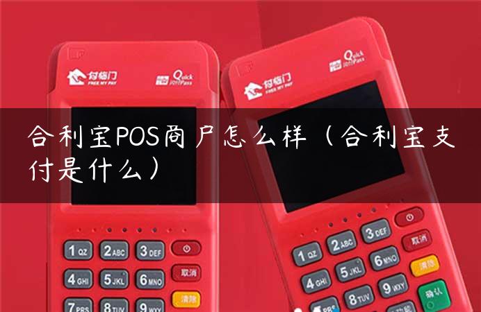 合利宝POS商户怎么样（合利宝支付是什么）