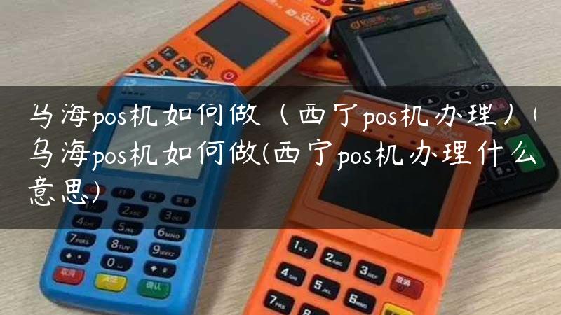 乌海pos机如何做（西宁pos机办理）(乌海pos机如何做(西宁pos机办理什么意思)