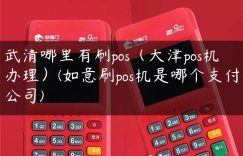 武清哪里有刷pos（天津pos机办理）(如意刷pos机是哪个支付公司)缩略图