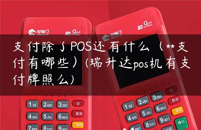 支付除了POS还有什么（**支付有哪些）(瑞升达pos机有支付牌照么)