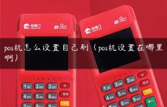 pos机怎么设置自己刷（pos机设置在哪里啊）缩略图