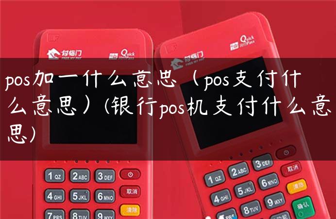 pos加一什么意思（pos支付什么意思）(银行pos机支付什么意思)