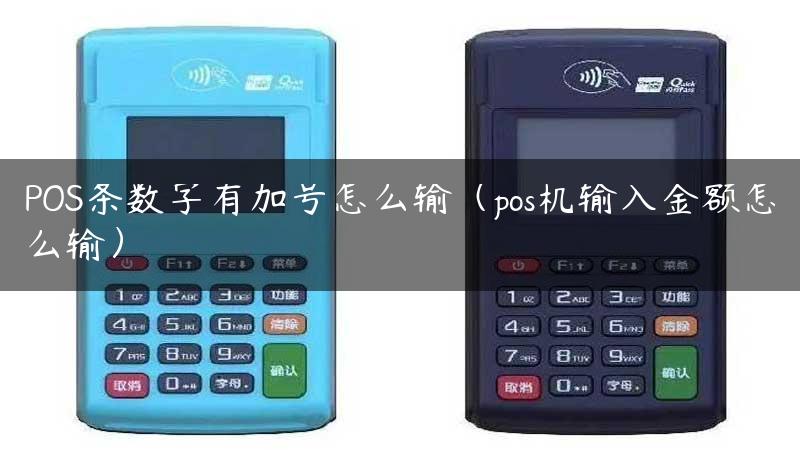 POS条数字有加号怎么输（pos机输入金额怎么输）