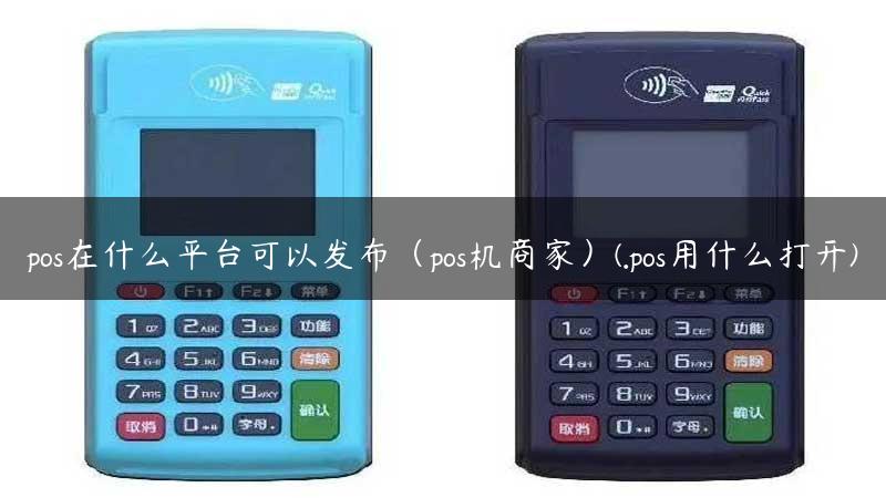 pos在什么平台可以发布（pos机商家）(.pos用什么打开)