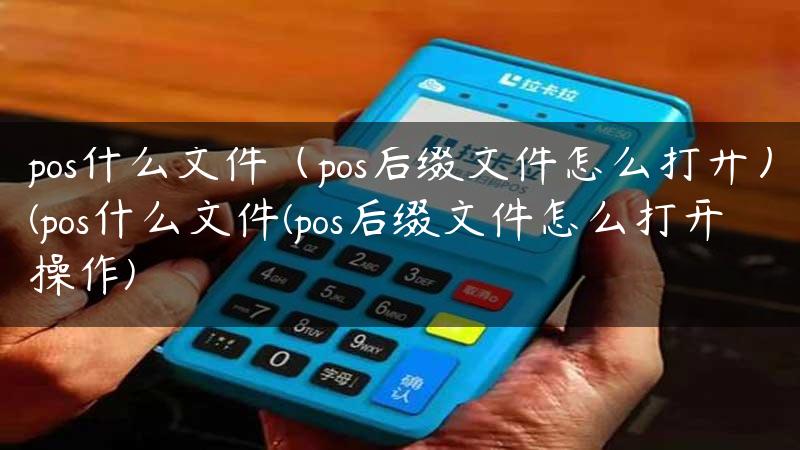 pos什么文件（pos后缀文件怎么打开）(pos什么文件(pos后缀文件怎么打开操作)