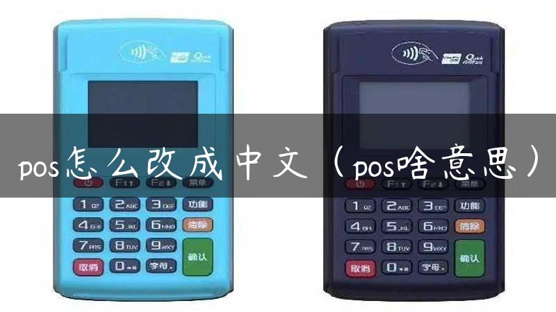 pos怎么改成中文（pos啥意思）