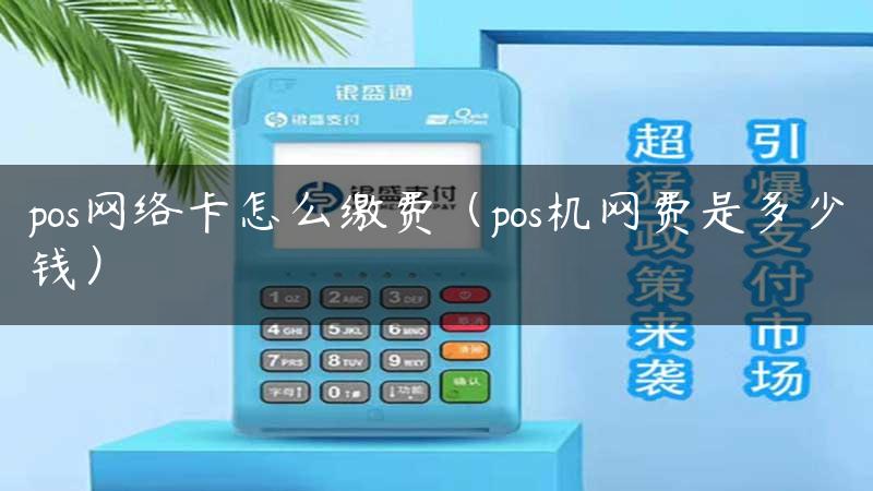 pos网络卡怎么缴费（pos机网费是多少钱）